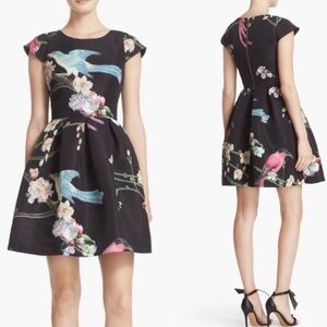 Ted Baker London Zaldana Print Fit and Flare Dress Size 3 (US 8) Floral Black